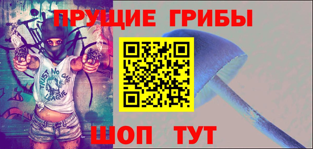 Галлюциногенные грибы Psilocybe Реж