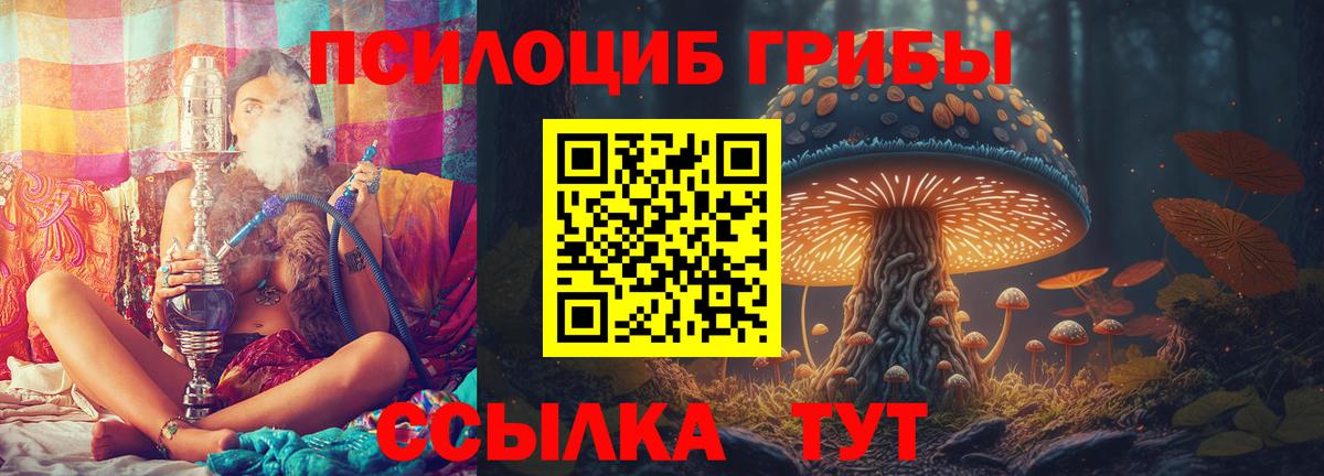 сколько стоит  Вход с VPN  Реж  Галлюциногенные грибы ЛСД 